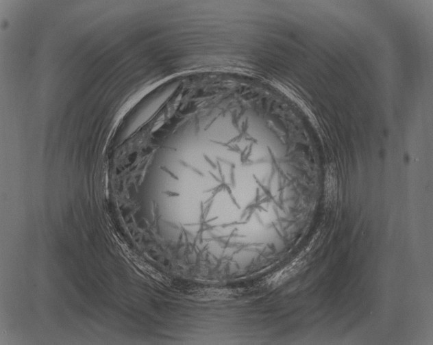 X0000082730925200702091834