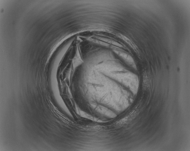 X0000082730926200702091834