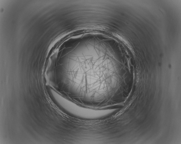 X0000082730928200702091834