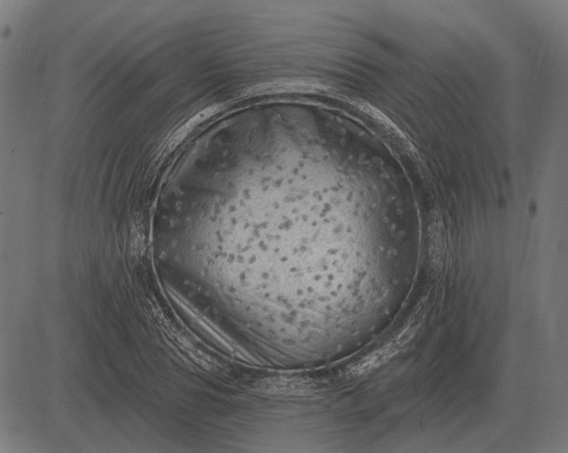 X0000082730929200702091834