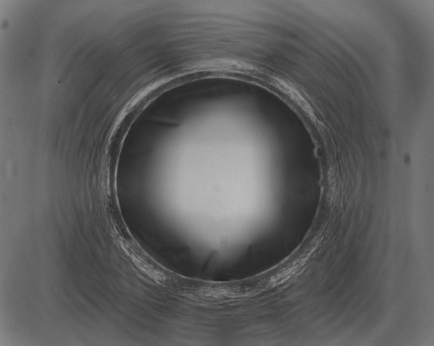 X0000082730931200702091834