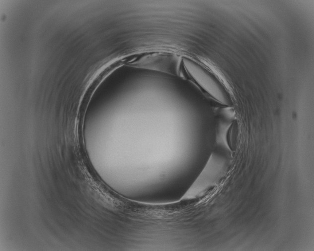 X0000082730932200702091834