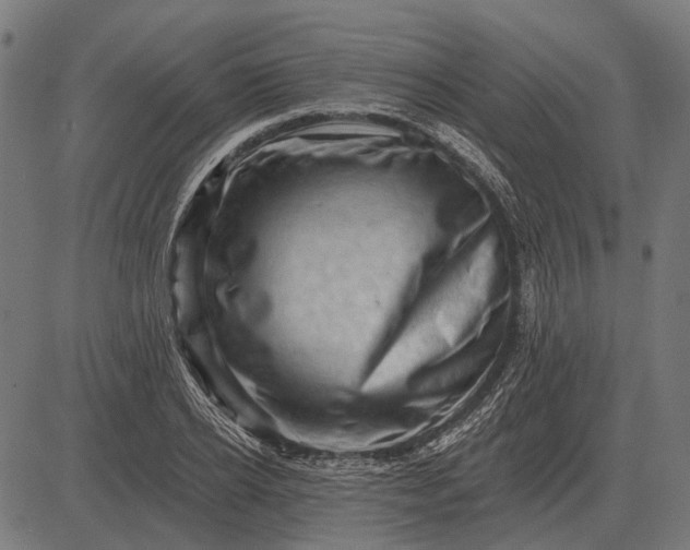 X0000082730934200702091834