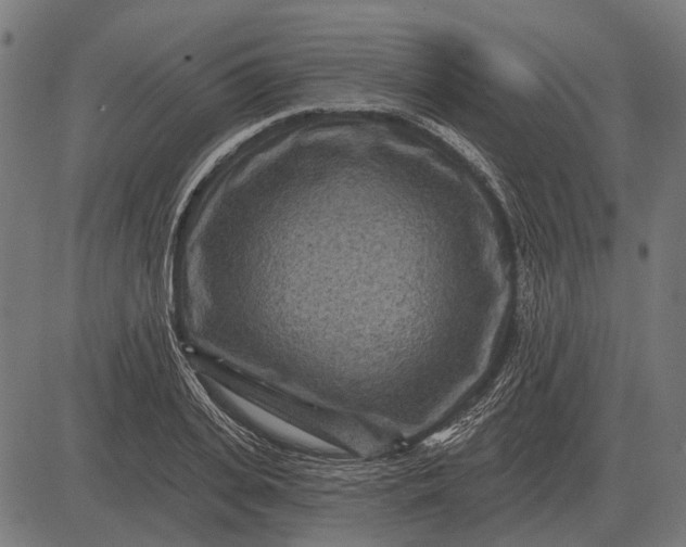 X0000082730935200702091834