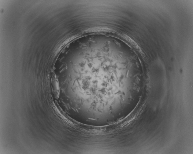 X0000082730937200702091834