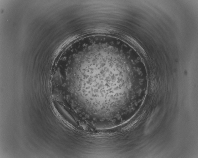 X0000082730938200702091834