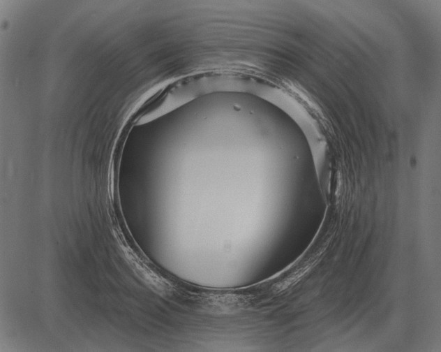 X0000082730940200702091834