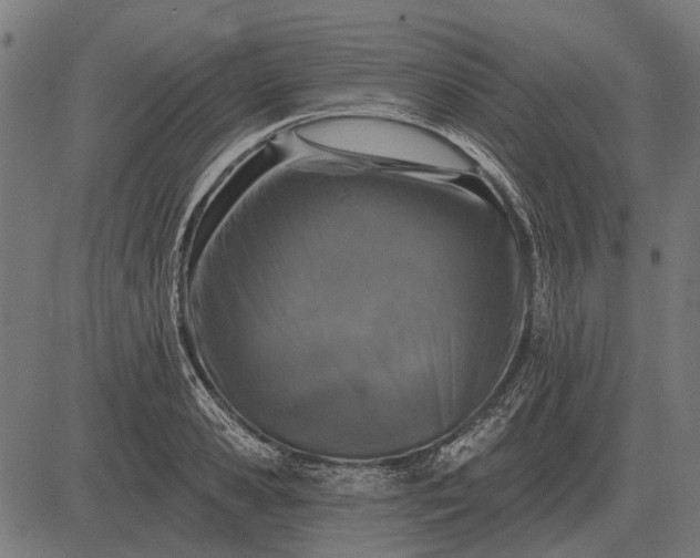 X0000082730941200702091834