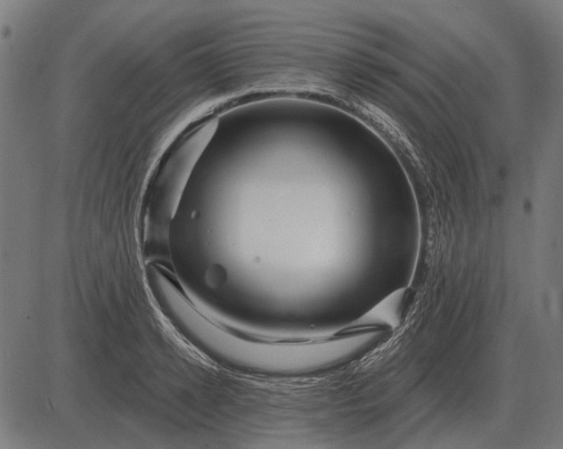 X0000082730942200702091834