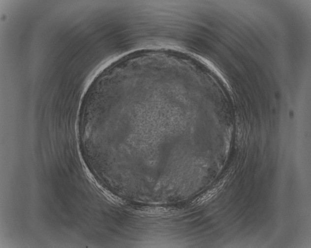 X0000082730943200702091834