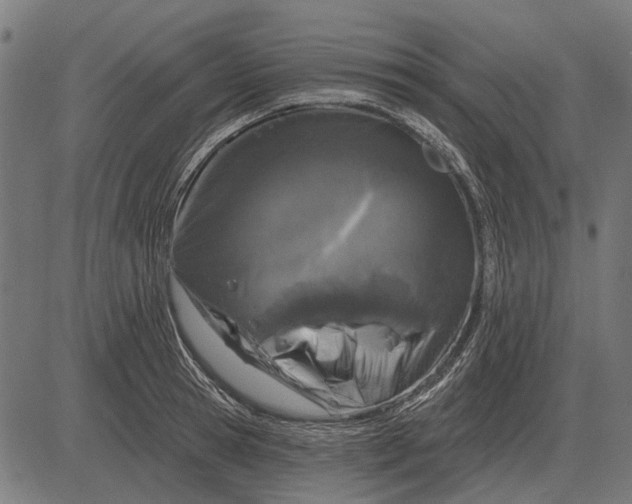 X0000082730945200702091834