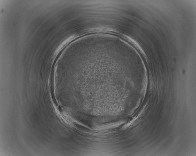 X0000082730946200702091834