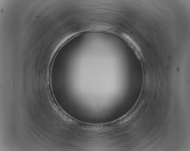 X0000082730948200702091834