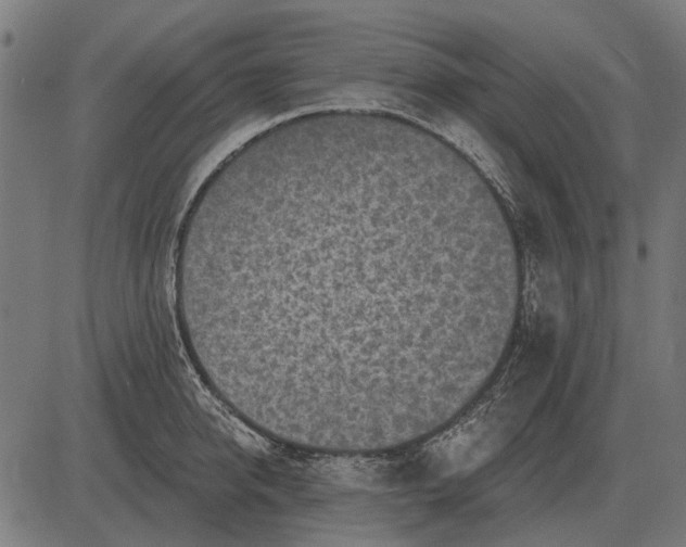 X0000082730950200702091834