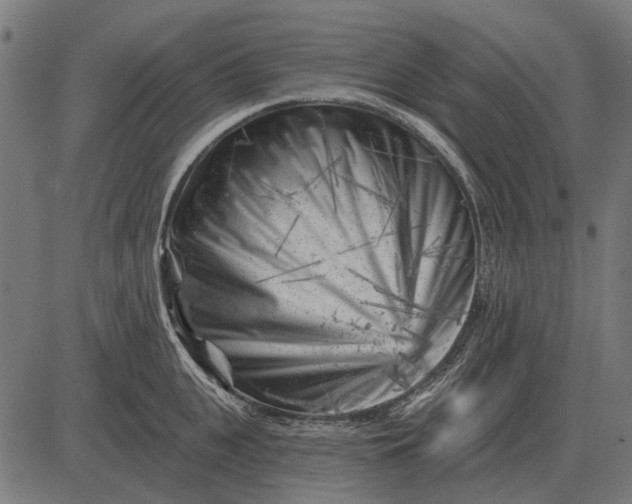 X0000082730951200702091834