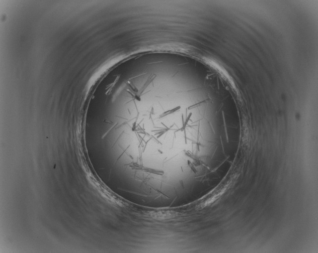 X0000082730952200702091834