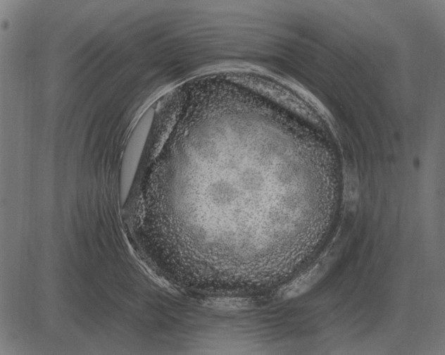 X0000082730953200702091834