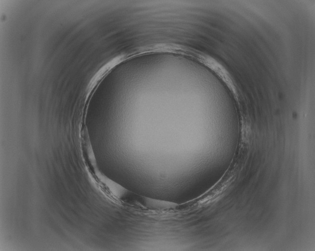 X0000082730954200702091834