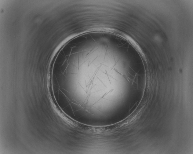 X0000082730955200702091834