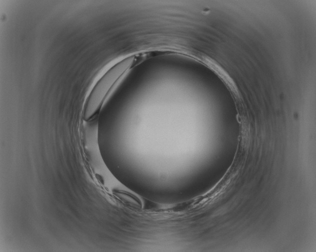 X0000082730956200702091834