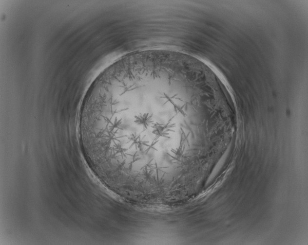 X0000082730957200702091834