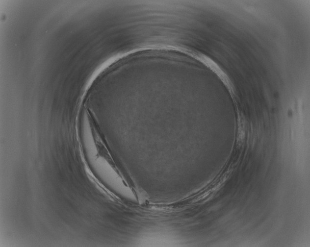 X0000082730958200702091834