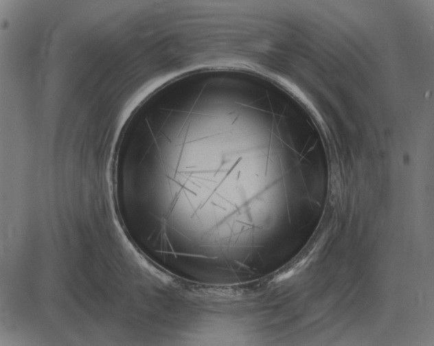 X0000082730959200702091834