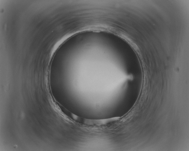 X0000082730960200702091834