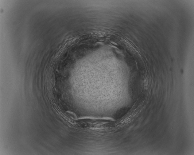 X0000082730961200702091834