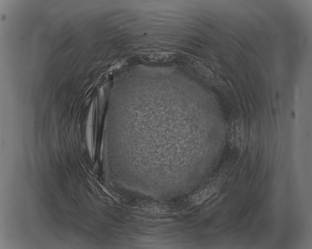 X0000082730962200702091833