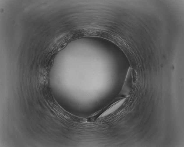 X0000082730964200702091833