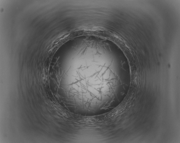 X0000082730966200702091833