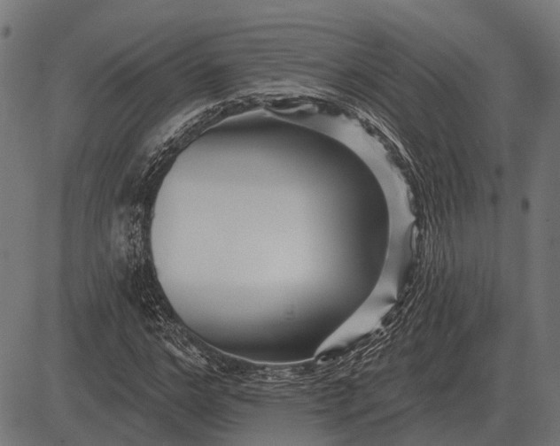 X0000082730968200702091833