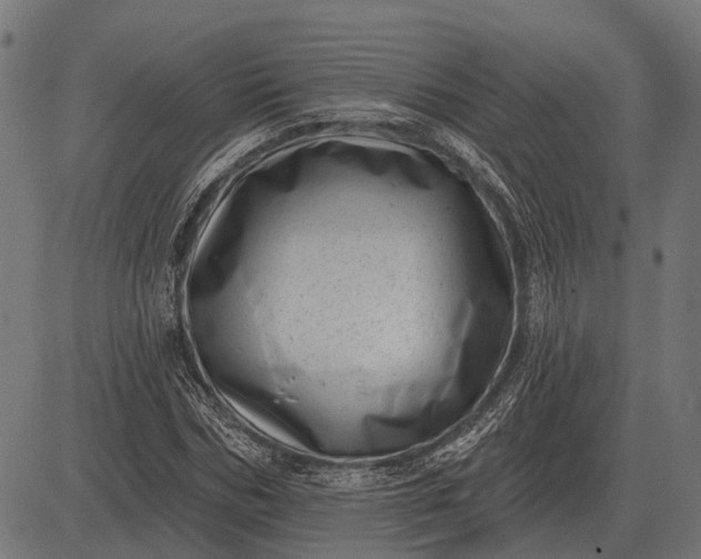 X0000082730970200702091833