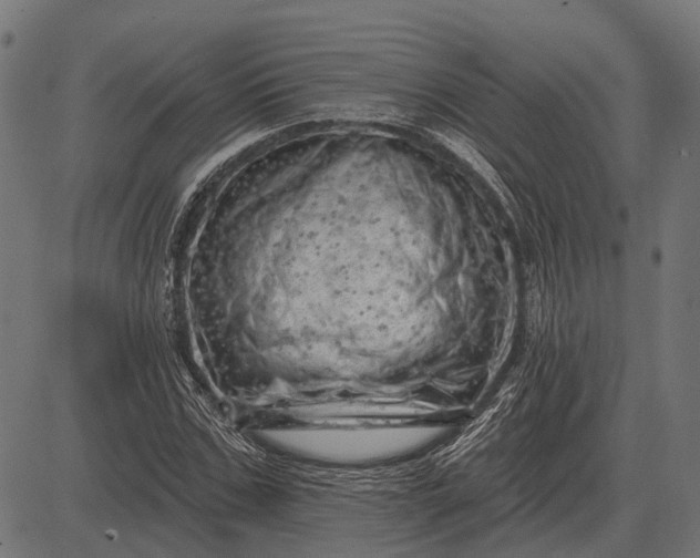 X0000082730971200702091833