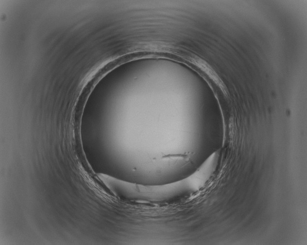 X0000082730972200702091833