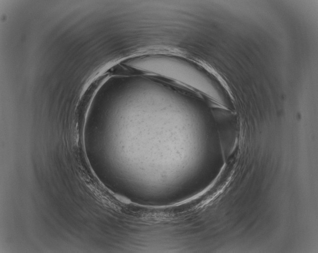 X0000082730973200702091833