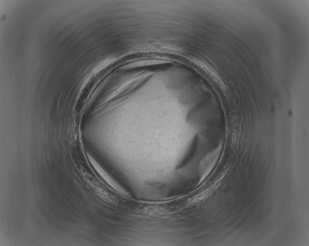 X0000082730974200702091833