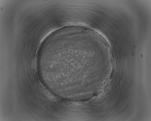 X0000082730975200702091833