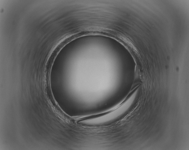 X0000082730976200702091833