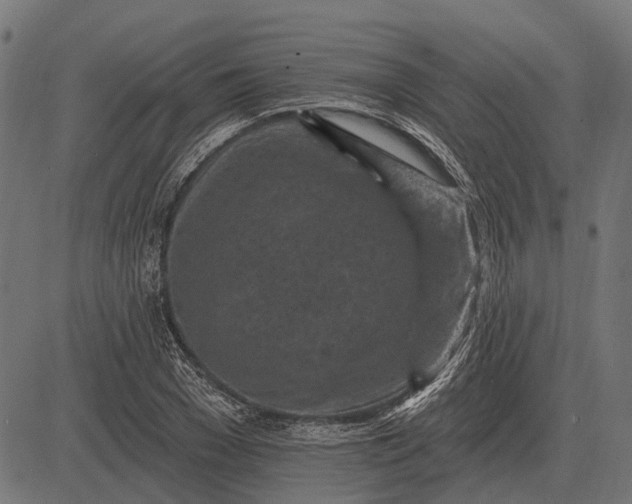 X0000082730977200702091833