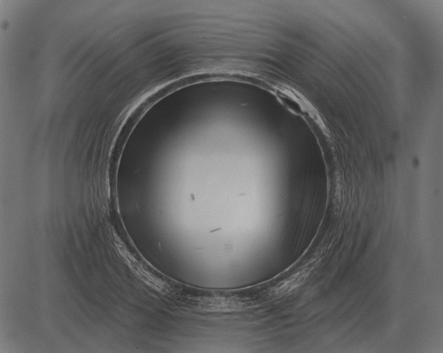 X0000082730980200702091833