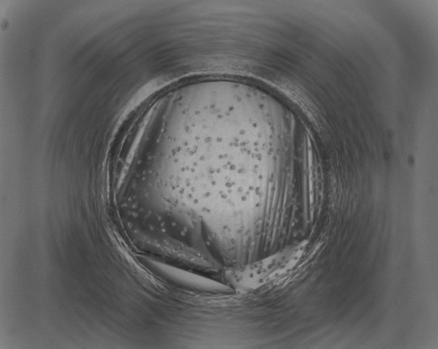 X0000082730982200702091833