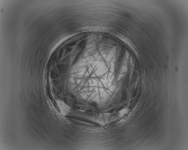 X0000082730983200702091833