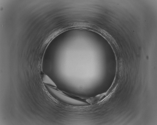 X0000082730985200702091833