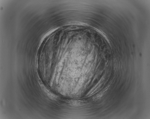 X0000082730987200702091833