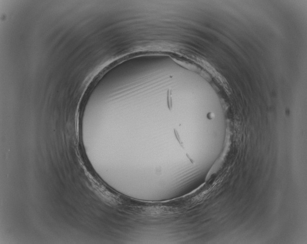 X0000082730988200702091833