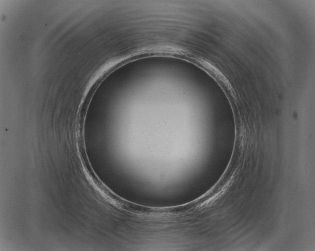 X0000082730989200702091833