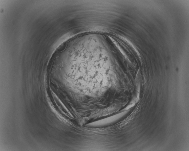 X0000082730991200702091833