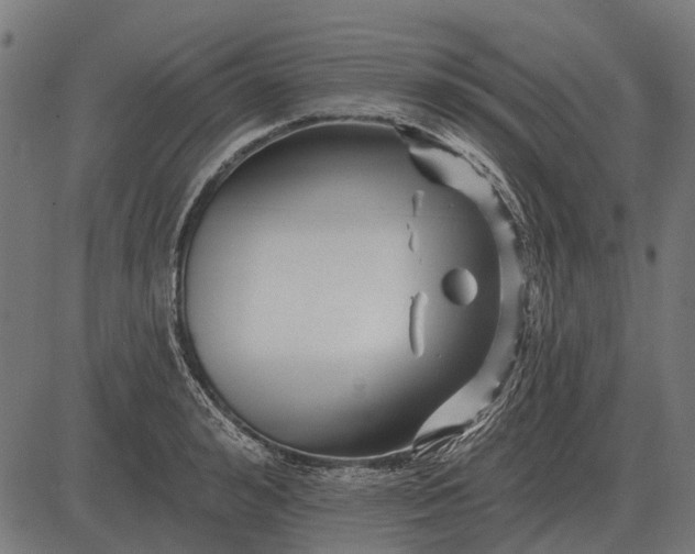 X0000082730992200702091833